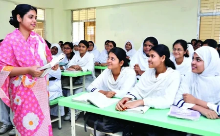 MPO Teachers Transfer News