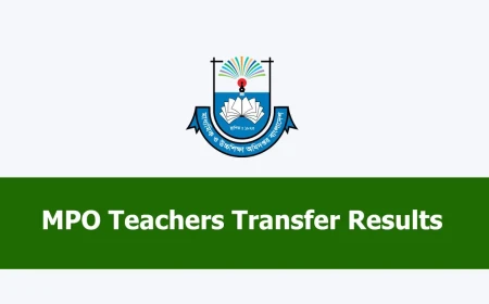 MPO Teachers Transfer Results