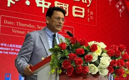 New Curriculum to Be Introduced in 2028