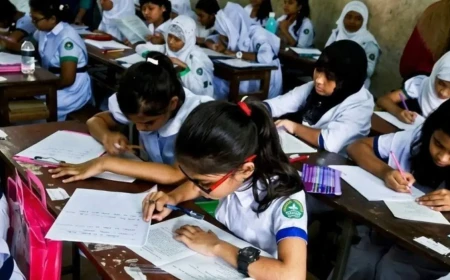 School Admission Tests Returns