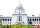School Admission Tests 2027 High Court Hearing